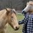 HorseSense