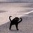 look at me meow