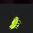 Roachie