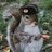 Red_Squirrel