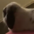 DMXtheRabbit