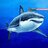 Shark with Laser
