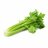 celerytard