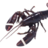 Live Lobster