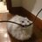 Kitty Bobo