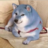 The Funny Blue Dog