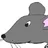Large Rodent