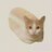 Cat Bread